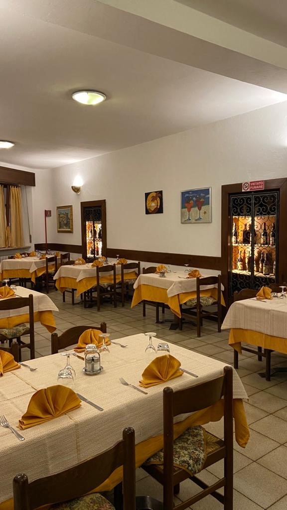 La Nuova Conchiglia Di Ungaro Vito